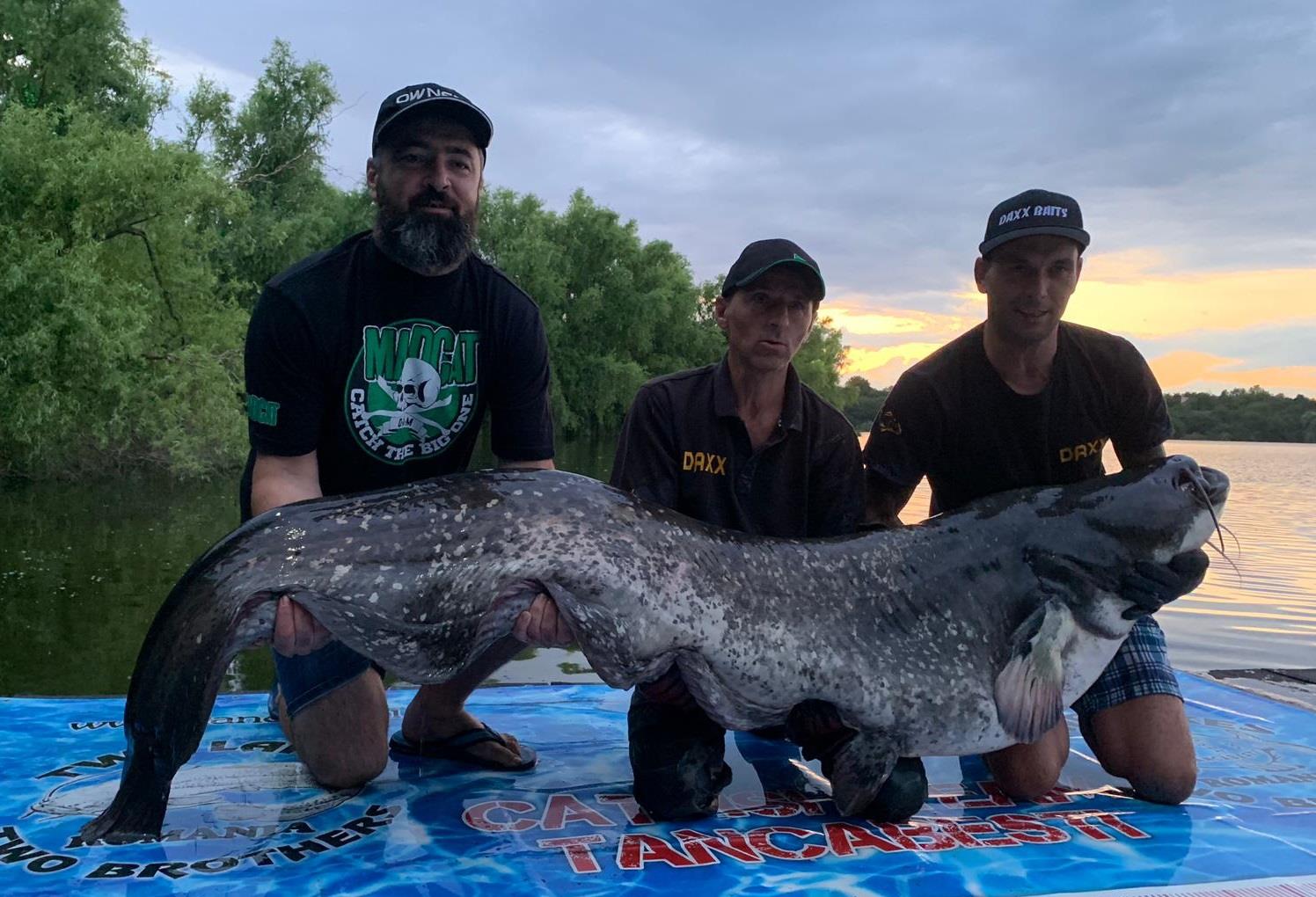 Somn de 95 kg prins cu boilies la Tancabesti. Este recordul baltii!